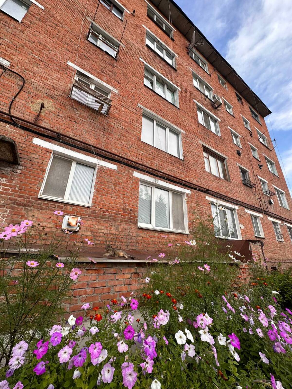 ������ 1-������� �������� �. ���������� ���. ���������� ���� 1