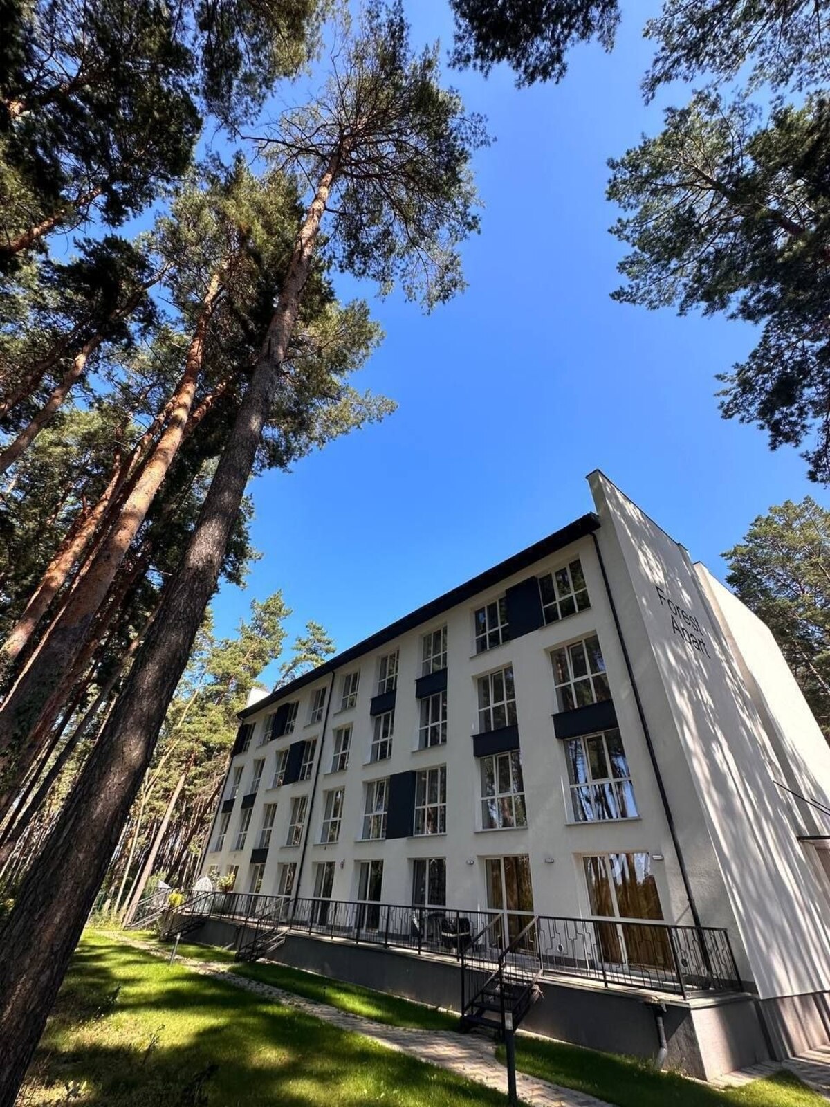 ������ 1-������� �������� � �� Forest Apart (�-� ���������) �-� ��������� ���� 1