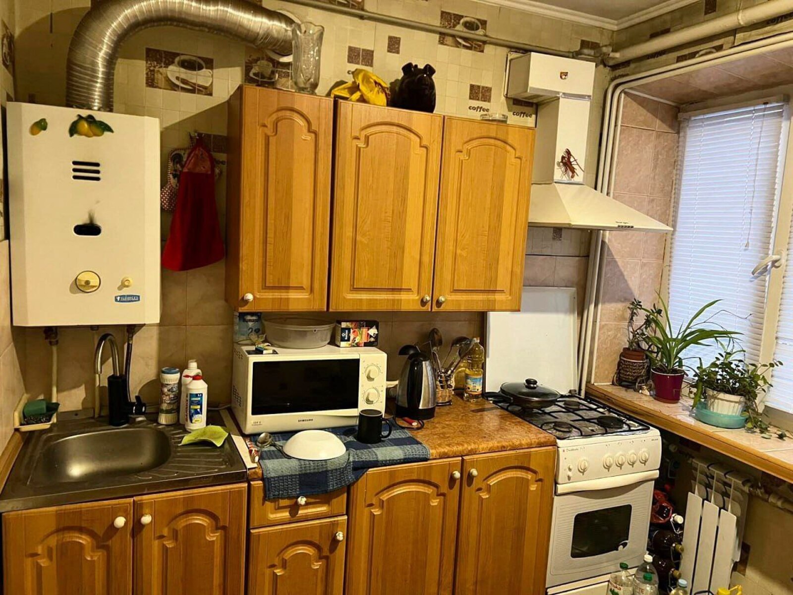 ������ ������� 1-������� �������� ���. �������� ���� 1