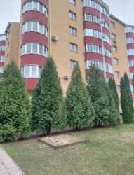 ������ �������� 1-������� �������� ���.������� (��� ����) ���� 1