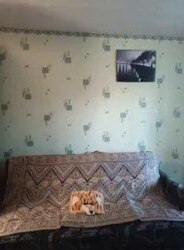 Продаж кімнати в гуртожитку вул. Дмитра Бортнянського (Робітнича) ЦЕНТР фото 2 Продаж кімнати в гуртожитку вул. Дмитра Бортнянського (Робітнича) ЦЕНТР фото 2