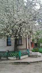 Продаж 4-кімнатної квартири з А/О вул. Олександра Коваленка (вул. Нахімова) фото 2 Продаж 4-кімнатної квартири з А/О вул. Олександра Коваленка (вул. Нахімова) фото 2