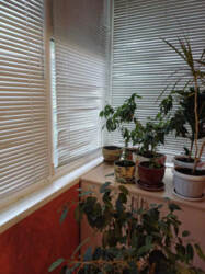 Продаж 1-кімнатної квартири вул. Збройних Сил України фото 8 Продаж 1-кімнатної квартири вул. Збройних Сил України фото 8