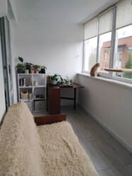 Продаж 1-кімнатної квартири вул. Сірожупанної дивізії (4-а Продольна) фото 3 Продаж 1-кімнатної квартири вул. Сірожупанної дивізії (4-а Продольна) фото 3