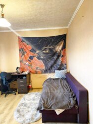 ������ 1-������� �������� ���. ������� (����� ����, B-Tone) ���� 4