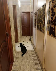 Продаж 3-кімнатної квартири вул.Роменська фото 8 Продаж 3-кімнатної квартири вул.Роменська фото 8