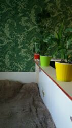 Продаж кімнати в гуртожитку по вул. Білопільський Шлях фото 1 Продаж кімнати в гуртожитку по вул. Білопільський Шлях фото 1