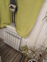 Продаж 1-кімнатної квартири вул. Харківська фото 4 Продаж 1-кімнатної квартири вул. Харківська фото 4