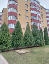 Продаж 1-кімнатної квартири вул.Заливна фото 1 Продаж 1-кімнатної квартири вул.Заливна фото 1