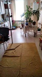 ������ 2-������� �������� ���. �. �����������. ����������. �� ���� 1