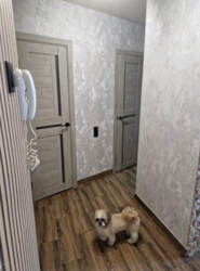 Продаж 1-кімнатної квартири вул. В. Чорновола фото 3 Продаж 1-кімнатної квартири вул. В. Чорновола фото 3