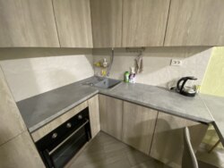  !💥  1-   Forest Apart (- )  7