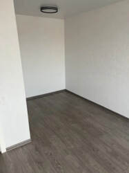  1-  .  (. ')  6