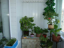 Продаж 3-кімнатної квартири вул. Сумської тероборони (Ковпака) фото 9 Продаж 3-кімнатної квартири вул. Сумської тероборони (Ковпака) фото 9