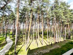 Продаж 1-кімнатної квартири в ЖК Forest Apart (р-н Баранівки) фото 5 Продаж 1-кімнатної квартири в ЖК Forest Apart (р-н Баранівки) фото 5