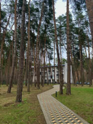  1-    Forest Apart (- )  2