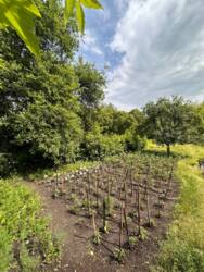 Продаж 2-кімнатної вул. Герасима Кондратьєва + ГАРАЖ фото 9 Продаж 2-кімнатної вул. Герасима Кондратьєва + ГАРАЖ фото 9