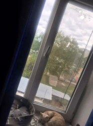 Продаж кімнати в гуртожитку пр-п. Перемоги фото 3 Продаж кімнати в гуртожитку пр-п. Перемоги фото 3