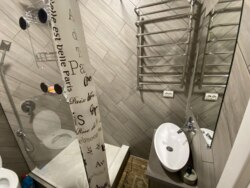  !💥  1-   Forest Apart (- )  2