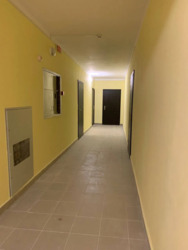   , -,  ,   12