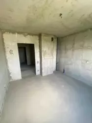   , ,  , 11, .   5