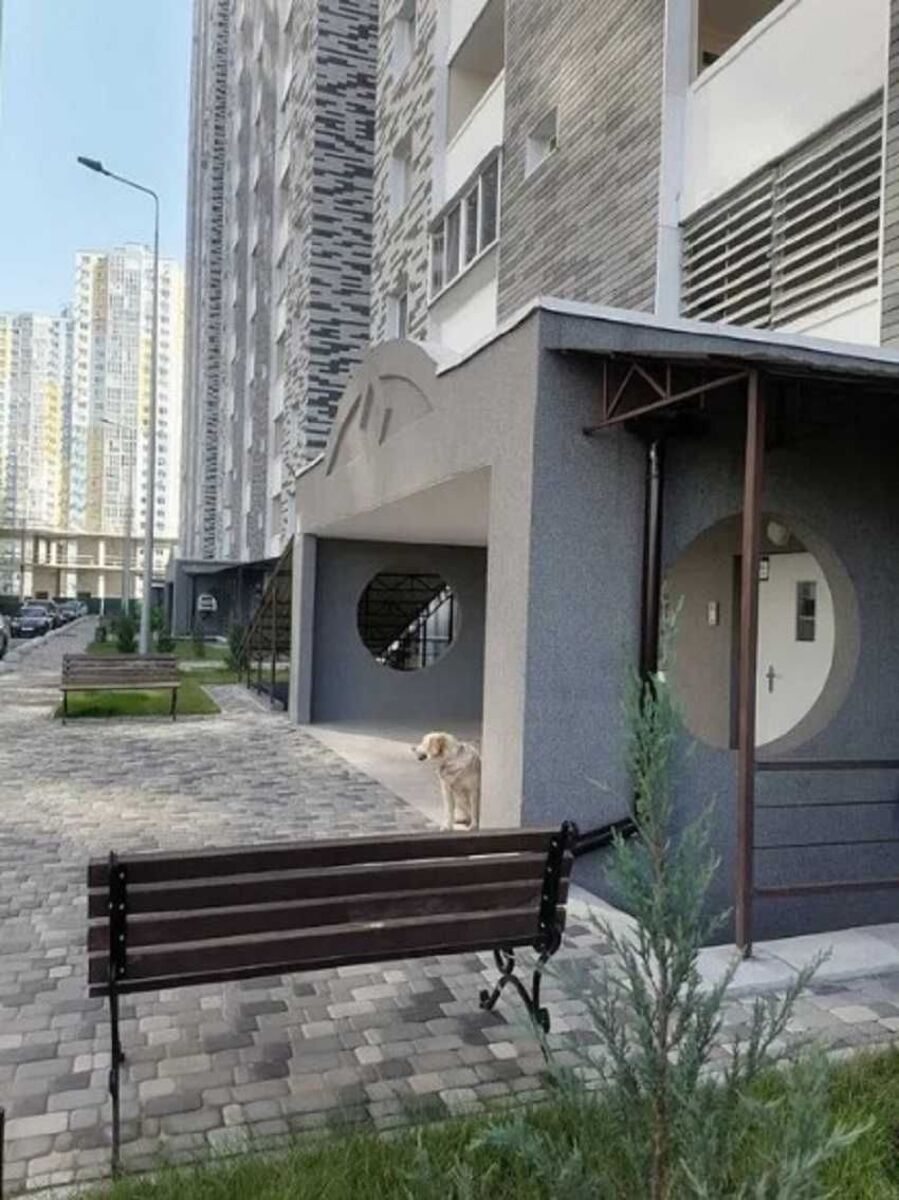 Продається квартира Київ, Дарницький, Ревуцький, 54 фото 1 Продається квартира Київ, Дарницький, Ревуцький, 54 фото 1