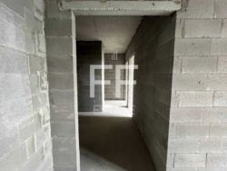   ,   11