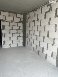   , -,  , . ,, 11,  11