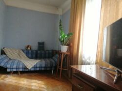   , ',  .,, 29  6