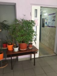   , ,   19