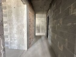   ,   11