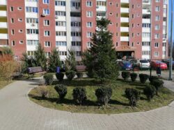   ,   12