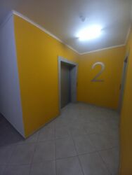   ,  ., 67, .   15