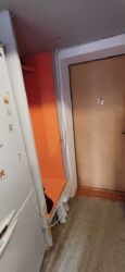   , ,  , 20, . 쳿  13