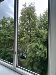   ,   14