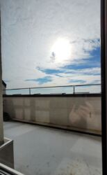   , ',  . (), 55  14