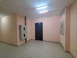   ,   12