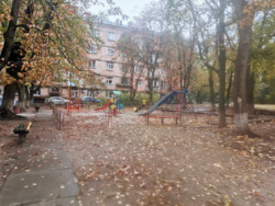   , , - ̳( ),21, .    13