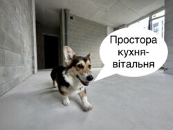   , , .  ,  No 7,  9