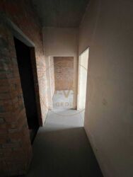   ,   12