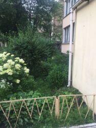   , ',  , 43, .   4