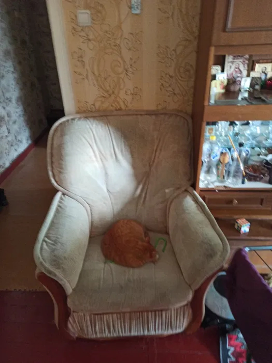 ��������� ��������. ���� 1