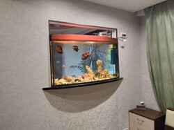 3� ����. �������� ���� 10