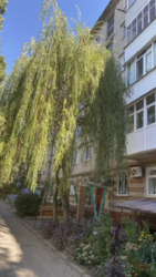 Продається квартира Полтавська, Кременчуцький, Кременчук, Нагірна частина, Арсенальний фото 2 Продається квартира Полтавська, Кременчуцький, Кременчук, Нагірна частина, Арсенальний фото 2