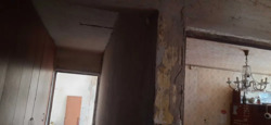 2-  ,  4