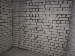 2- . 77 . .   53   16