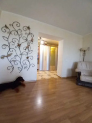 ������ 2-� ����. �������� ���� 15