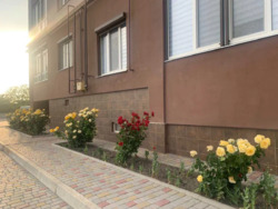 2-кімнатна квартира фото 3 2-кімнатна квартира фото 3