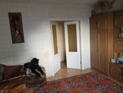 ��������� �������� �������������, ���������, �������������, ����������, ����� ���� 12