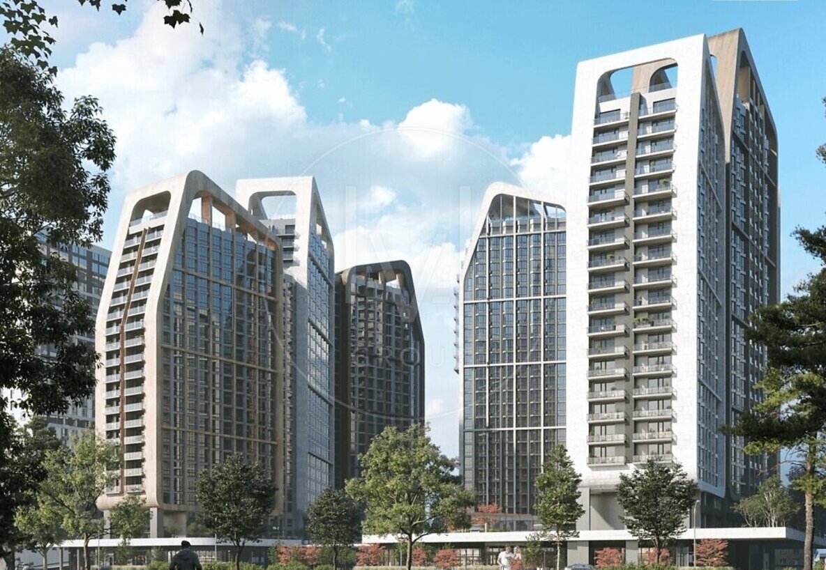 ������ 1-������� �������� �� ���. ����������� ���� 1